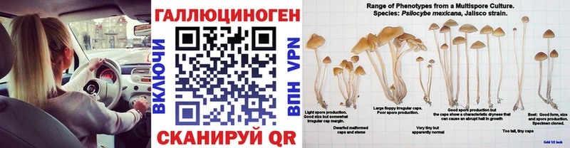 Псилоцибиновые грибы Magic Shrooms  hydra маркетплейс  Усть-Джегута 
